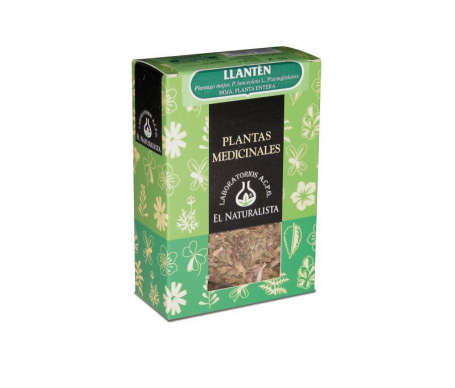 llantén llantén