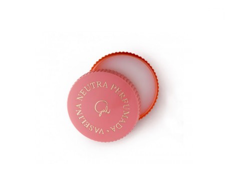 Gal vaselina neutra perfumada 13ml