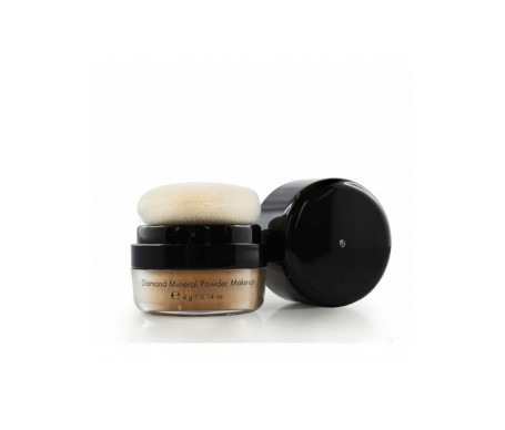 Etrebelle 421-02 Diamond Mineral Powder 02 Etrebelle 421-02 Diamond Mineral Powder 02