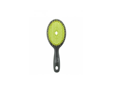 Beter Cepillo Deslia Paddle Beter Cepillo Deslia Paddle