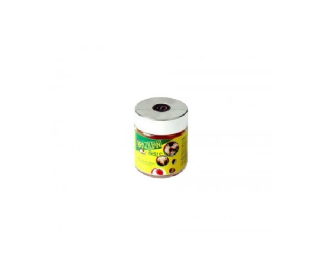 Secret Play Tarro 6 Brazilian Balls Aroma F. Bosque 48 Gr Secret Play Tarro 6 Brazilian Balls Aroma F. Bosque 48 Gr